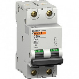 23867 WYŁĄCZNIK NADPRĄDOWY 2P-C25 C60a, SCHNEIDER ELECTRIC