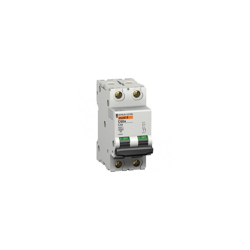 23867 WYŁĄCZNIK NADPRĄDOWY 2P-C25 C60a, SCHNEIDER ELECTRIC